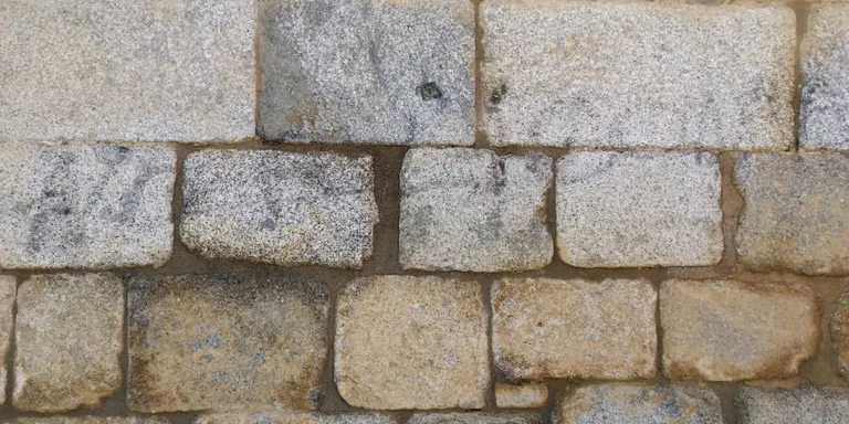 El Museu Diocesà condemna l'aparició d'una pintada a la Catedral de la Seu d'Urgell