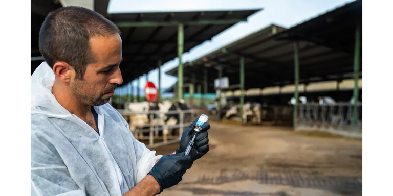 Declarats quatre focus més de Dermatosi Nodular a granges de l'Alt Empordà que sumen gairebé 800 caps de bestiar