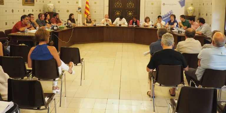 La Seu retira la medalla d'or de la ciutat a Franco