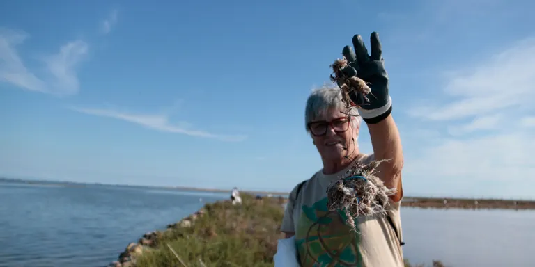 Una vintena de voluntaris entren per primera vegada a les Salines de la Trinitat per retirar residus provinents del mar
