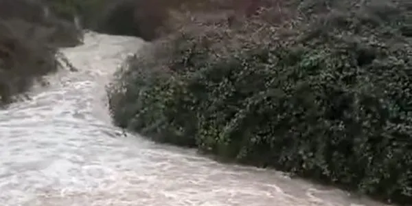 Les pluges dels últims dies provoquen una nova gaianada molt ben rebuda pel riu