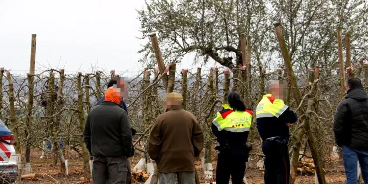 Mor un caçador de Cambrils en disparar-se accidentalment al pit a Torregrossa