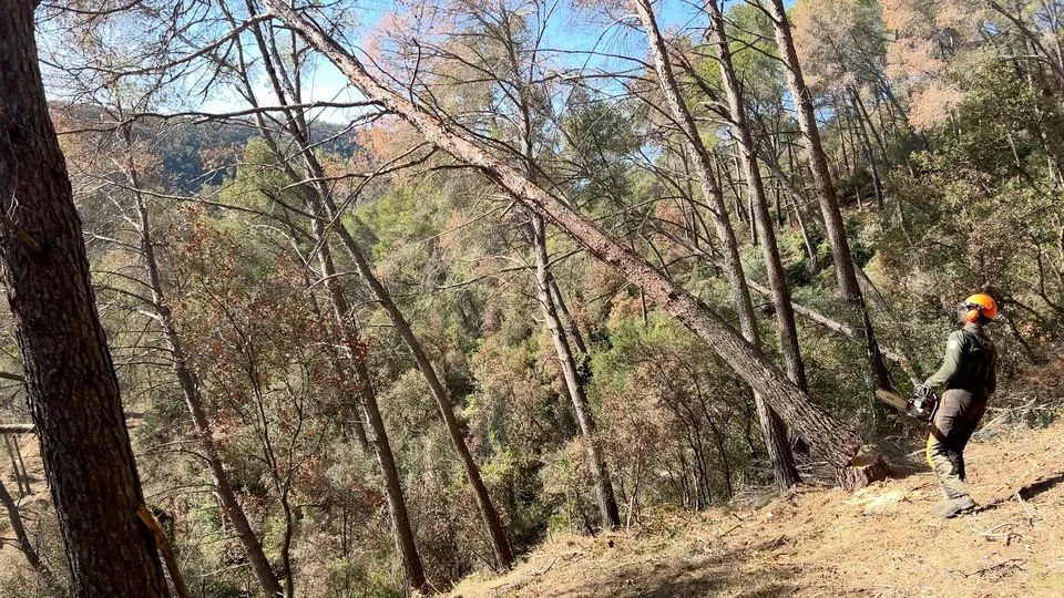 La campanya d'incendis es podria avançar a l'abril per la sequera