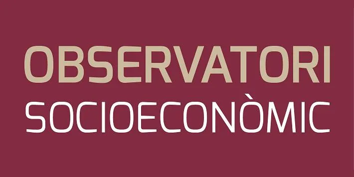 La Seu i l'Alt Urgell creen el seu Observatori Socioeconòmic