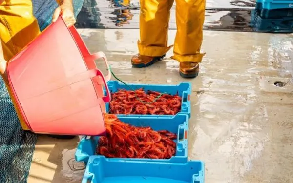 Foto: Federació Nacional Catalana de Confraries de Pescadors