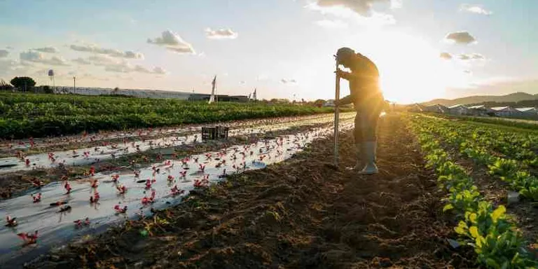Neix l'Espai Agrari de la Baixa Tordera