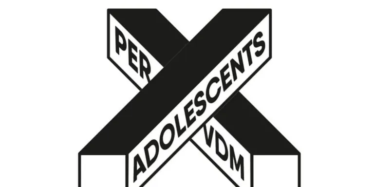 El Consell d’Adolescents tria el seu logotip en la quarta trobada del curs