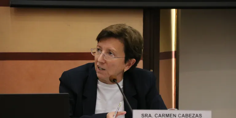 Cabezas demana una estratègia "més comuna" a Europa en els controls als viatgers procedents de la Xina