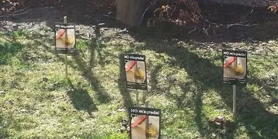 Aprovació definitiva a la Seu de la nova ordenança de control i tinença d'animals