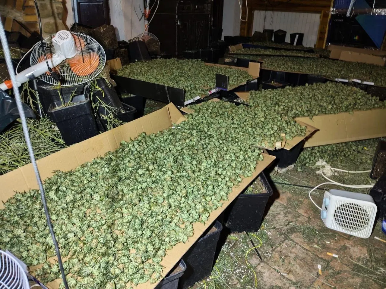 Els Mossos d’Esquadra detenen tres homes per cultivar marihuana a Enfesta, a La Molsosa
