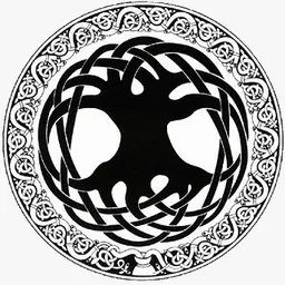 Històries magnífiques (quinzenal) del 11/11/2024 - episode art