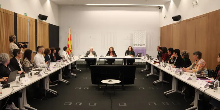 El Govern crea un grup d’experts de diversos àmbits per lluitar contra la violència vicària