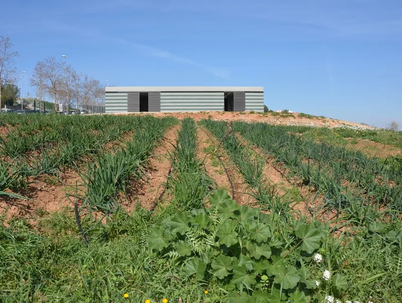 Els horts municipals es troben a Cova Solera