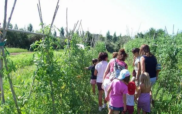 Foto: Hort de la Sínia