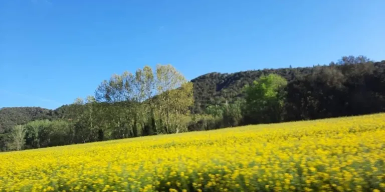 Cap de setmana estable i primaveral