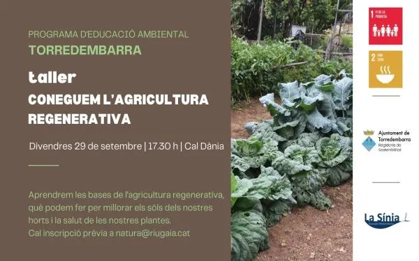 Foto: Ajuntament de Torredembarra