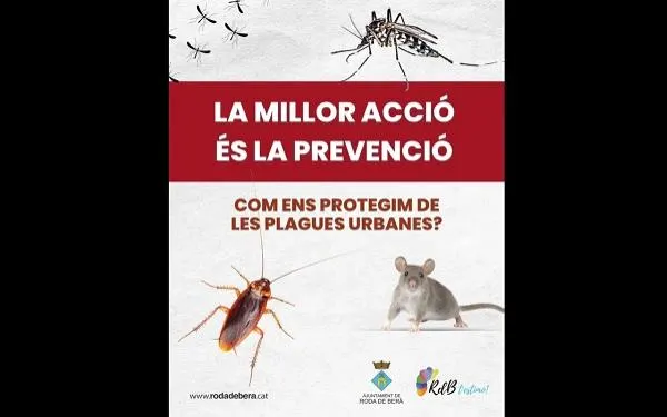 L’Ajuntament de Roda de Berà intensifica el tractament de plagues que proliferen amb la calor
