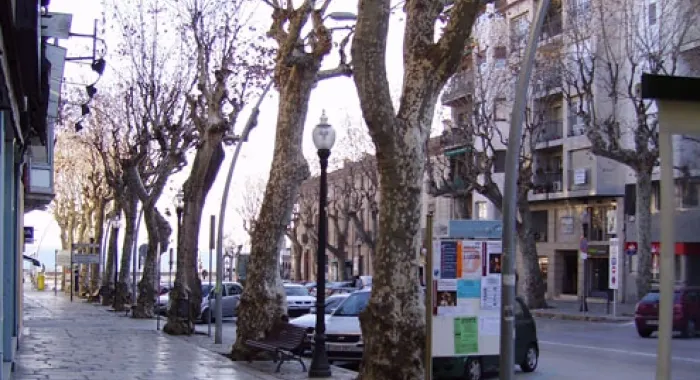 L'Ajuntament estalviarÃ  44.000 euros en la factura de la llum 