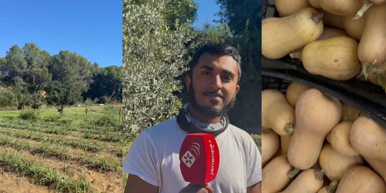 Arrenca la Setmana Bio: "A Rubí hi ha productes de km 0 i ecològics de molta qualitat"