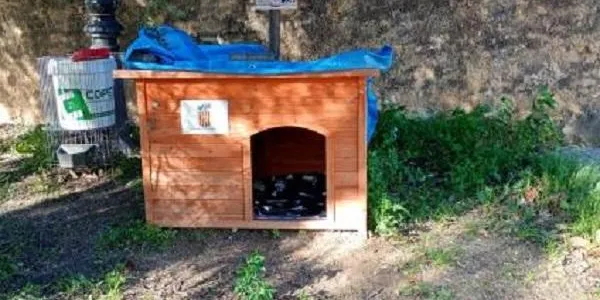 L’Ajuntament de la Nou de Gaià executa enguany diverses actuacions de salut pública