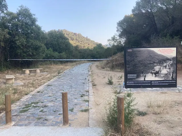 Mesures contra l’onada de calor i l’alt risc d’incendi