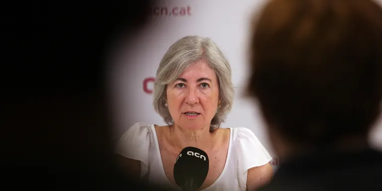 Feliu planteja la Diada per "sacsejar" les negociacions d'investidura: "L'any passat vam provocar la caiguda del Govern"