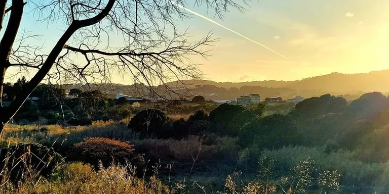 Primer dia de primavera amb vent de garbí