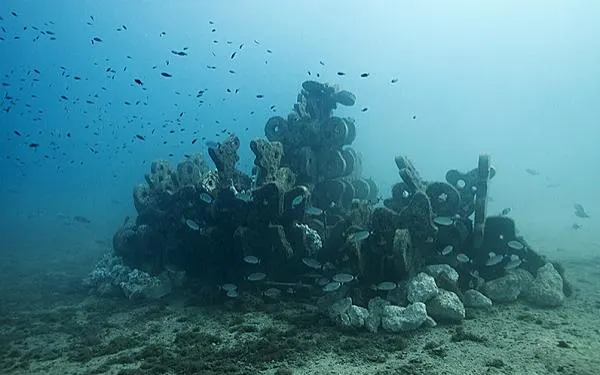 Foto: Natural Art Reef Association