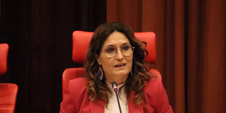 Vilagrà anuncia que el Govern reclamarà una indemnització de "com a mínim" un milió a Cegos pel caos de les oposicions
