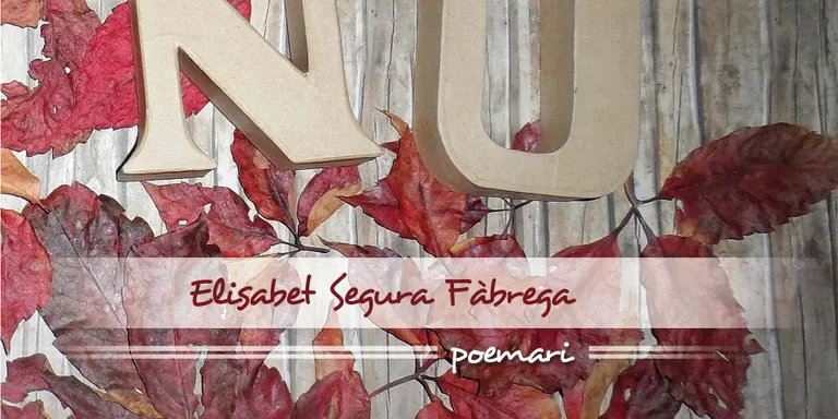 Elisabet Segura publica 'Nu', el seu debut en el món de la poesia