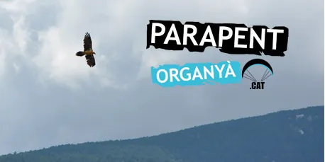 Voltors i parapent, proposta a l'Espai Natura Muntanya d'Alinyà