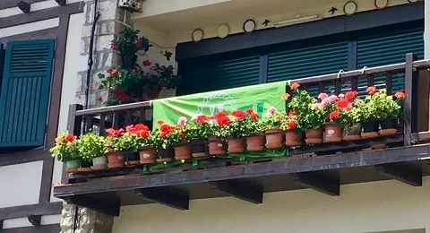 CULTURA CONVOCA EL TRADICIONAL CONCURSO DE BALCONES FLORIDOS