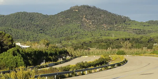 Blanes i Lloret elaboren un pla d'ordenació forestal per prevenir incendis