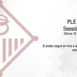 Ple extraordinari 16 d'octubre 2023 del 16/10/2023 - episode art