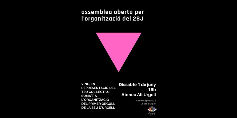 Assemblea oberta d'Iris per organitzar el 28J a la Seu