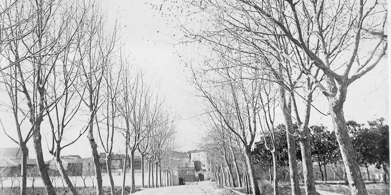 Els camins i carreteres i el seu bon estat, una preocupació històrica a Cambrils
