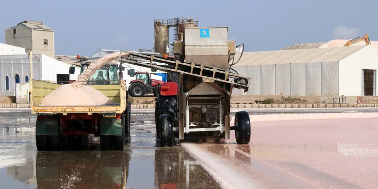 La sal del delta de l'Ebre veu també frenada la seva venda als Estats Units amb els aranzels de Trump