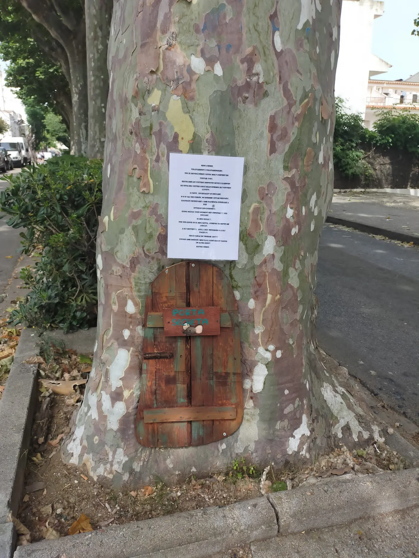 Arriba el Ratolí Pérez, de la mà de La Caseta de l’Arbre