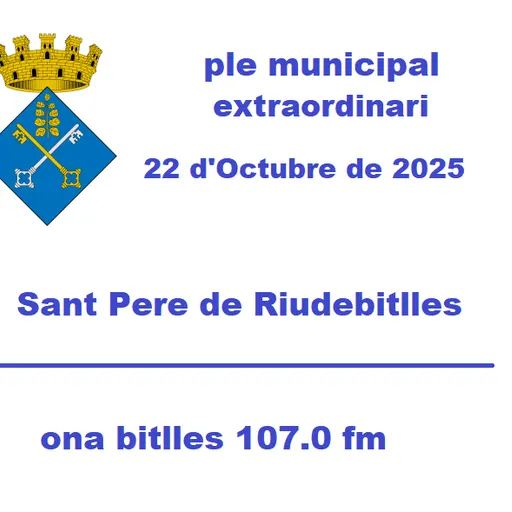 Ple Municipal Extraordinari del 22 d'Octubre de 2025