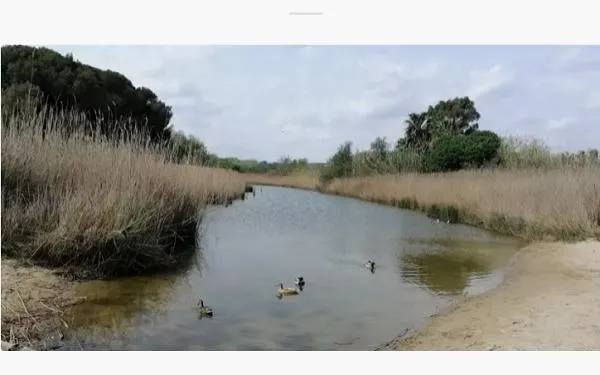 Foto:Arxiu / Associació Meidambiental La Sínia