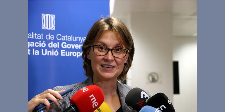 Serret veu "incoherents i incongruents" les votacions "d'alguns grups" que van tombar la llei del Pla estadístic