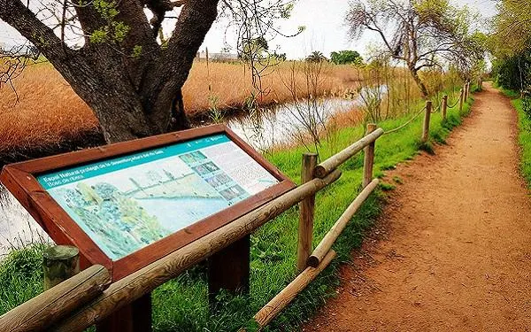 Foto: Hort de la Sínia