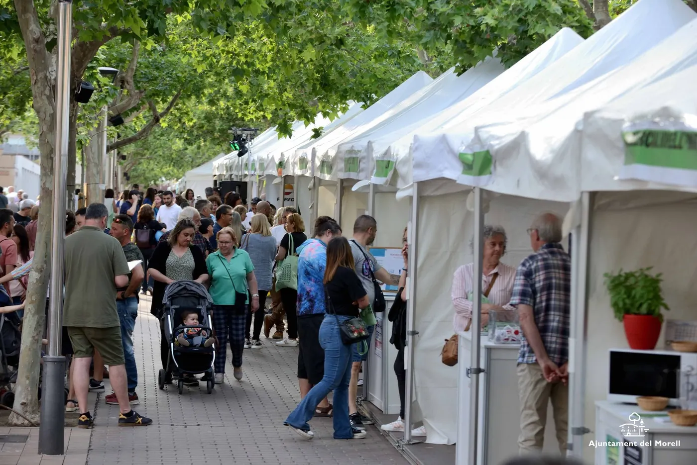 Nou sorteig de l'Associació de Comerciants per a la Terrafira