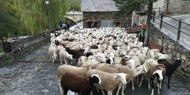 El Departament d'Agricultura fa efectiu el pagament de la PAC a prop de 33.000 beneficiaris