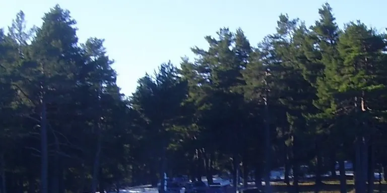 Denunciats sis conductors per circular amb tot terrenys pels circuits de fons de Sant Joan de l'Erm