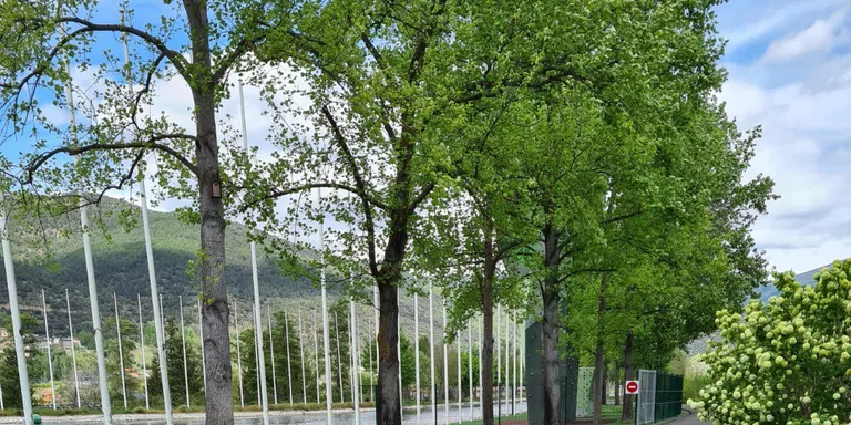 L'Ajuntament de la Seu d'Urgell defineix un circuit de passeig de sentit únic al Parc del Segre
