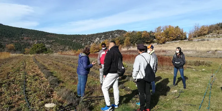 El Pla de Transició al Treball de la Seu d’Urgell, guardonat en els Premis Impulsa FP que atorga el Departament d’Educació a Lleida