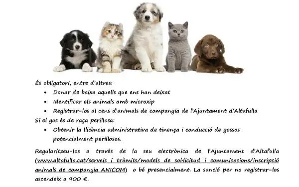 Foto: Ajuntament d'Altafulla
