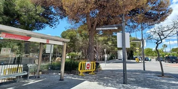 Es talla un accés de vianants a l’aparcament de les piscines d’Altafulla per un pi en mal estat