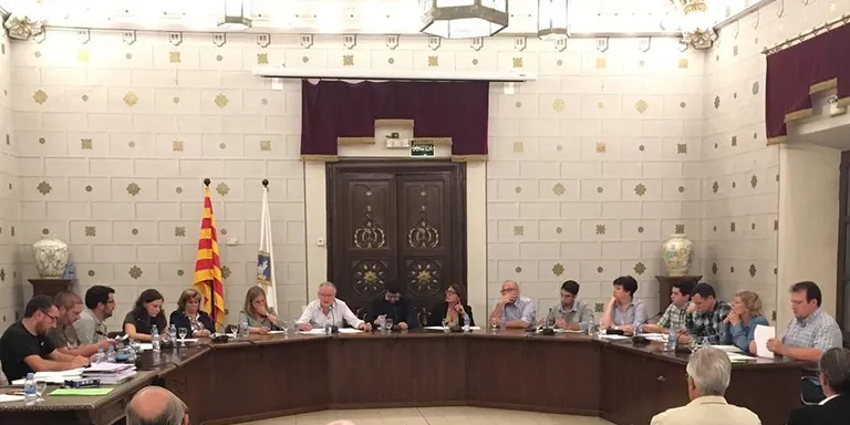 El ple de la Seu aprova les noves ordenances municipals